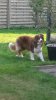 IMG-20160914-WA0000.jpg