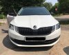 Skoda wit emblem 2.jpg