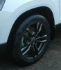 Velg + Vredestein.jpg