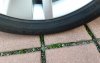 20201103_145348.jpg