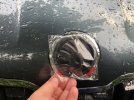 IMG_4422.jpeg