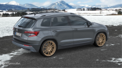 alutec-monstr-metallic-bronze-felgen_skoda-karoq-suv-nu(1).png