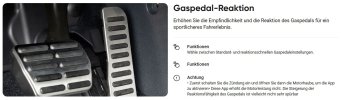 Gaspedal.JPG